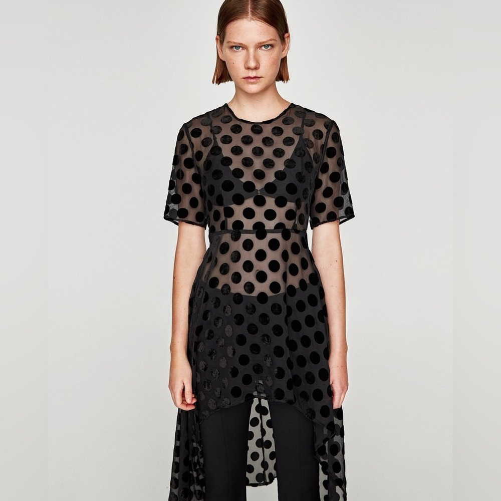 Zara Sheer Polka Dot Dress